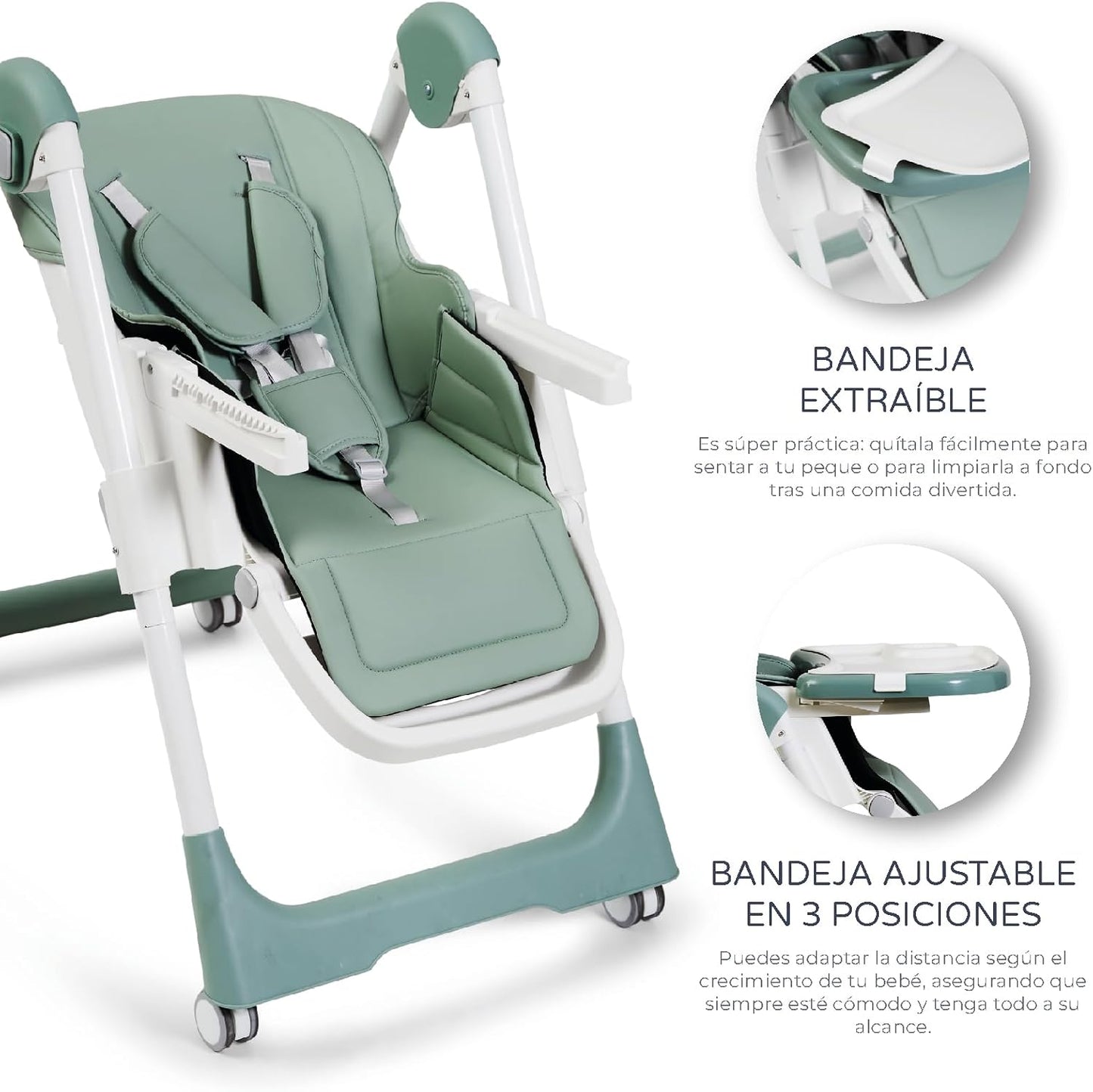 Sediolone Pappa Ms Tasty Verde